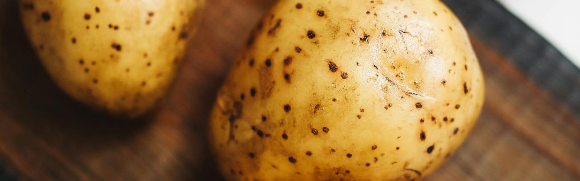 Header Image