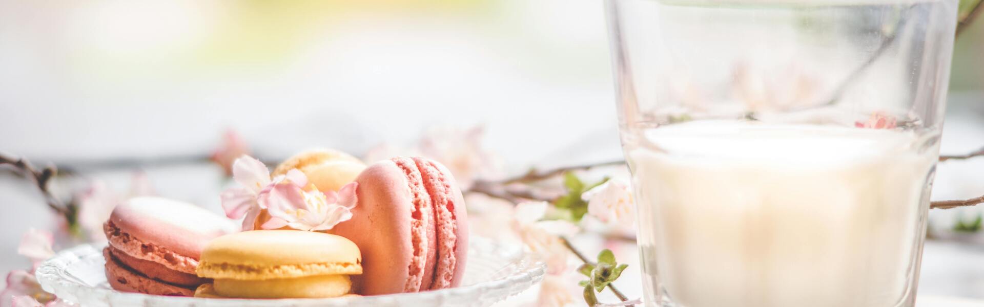 Header Image