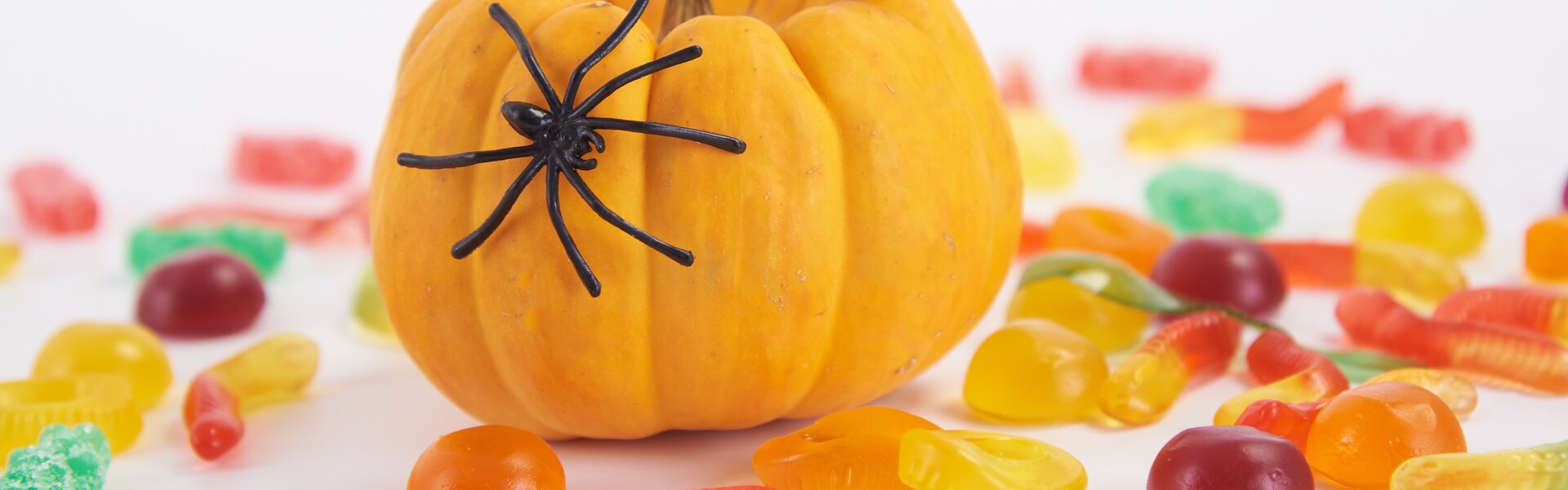 Header Image